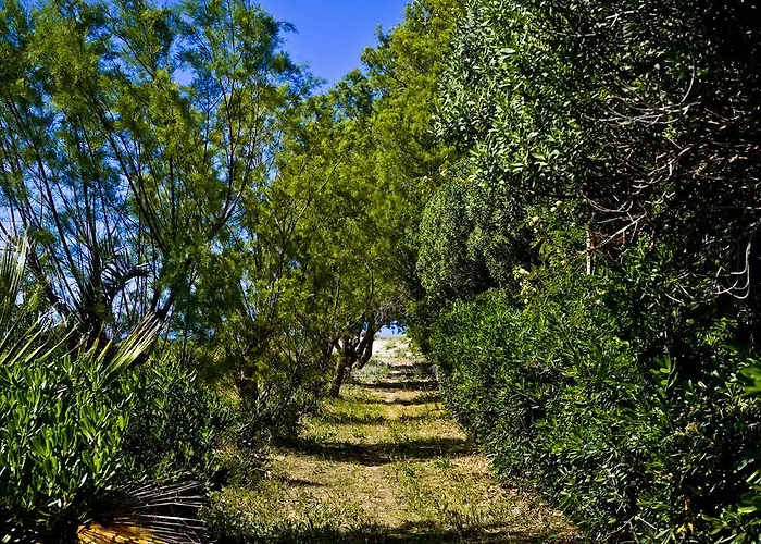 Apartament Chrissas *