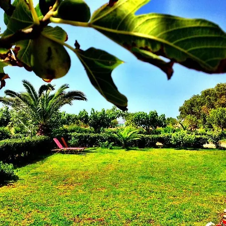 Apartament Chrissas *